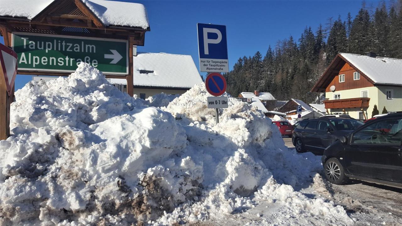 Amazing Family Apartment Bad Mitterndorf - Visit Hallstatt, Ski In Tauplitz Exterior foto